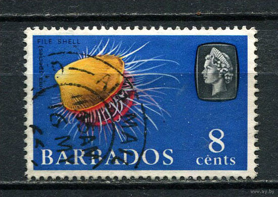 Британские колонии - Барбадос - 1965/1967 - Морская фауна 8С - [Mi.241X] - 1 марка. Гашеная.  (Лот 74Dh)