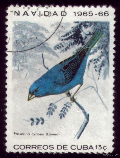 1 марка 1965 год Куба Птичка 1098