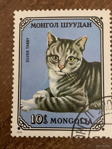 Монголия 1979. Домашние коты. Silver tabby. Марка из серии