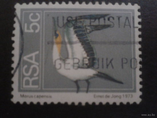 ЮАР 1974 стандарт, птица