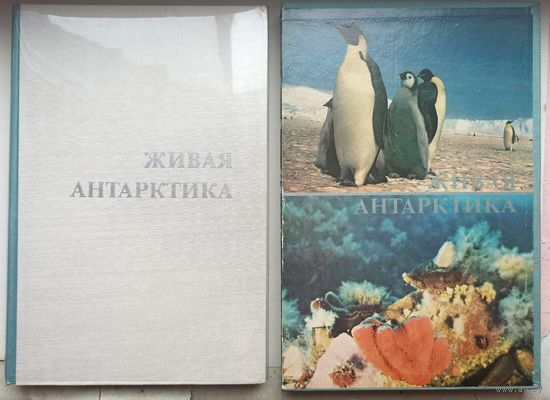 Живая Антарктика. Альбом. В коробе. Гидрометеоиздат. 1976 год. Рыбаков С. Н.