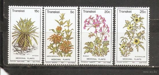 Транскей 1981 Цветы