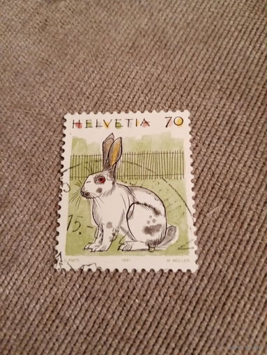 Швейцария 1991. Кролик