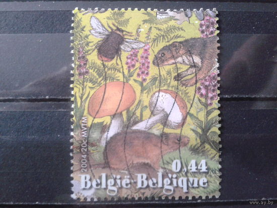 Бельгия 2004 Природа: грибы и звери, марка из блока