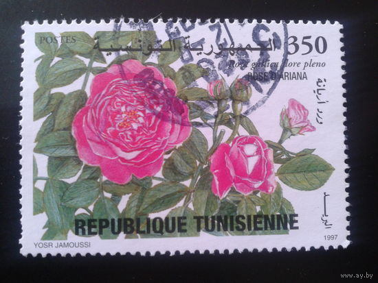 Тунис 1997 цветы