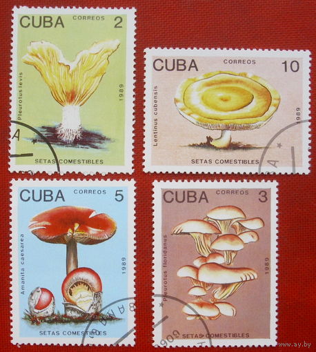 Куба. Грибы. ( 4 марки ) 1989 года. 3-4.