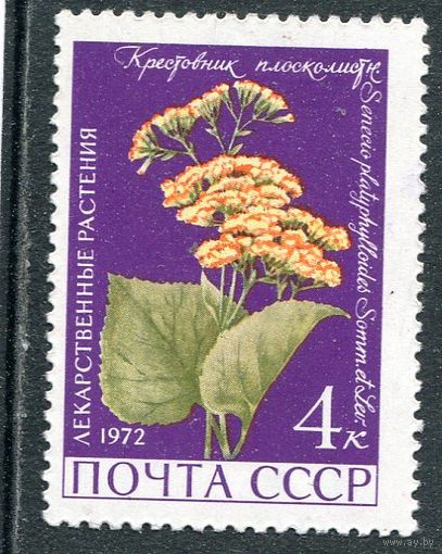 СССР 1972. Лекарственные растения. Крестовик плосколистный
