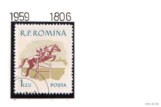 Румыния-1959,(Мих.1809)  гаш.  , Лошади, Спорт