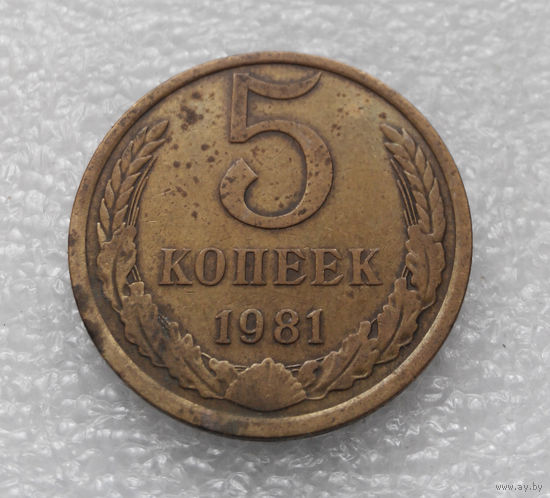 5 копеек 1981 СССР #10
