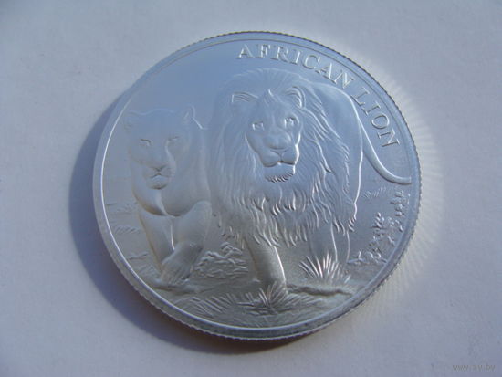 Конго. 5000 франков 2016 год  UC#242  "Африканский Лев"