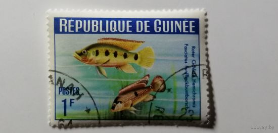 Гвинея 1964. Рыбы