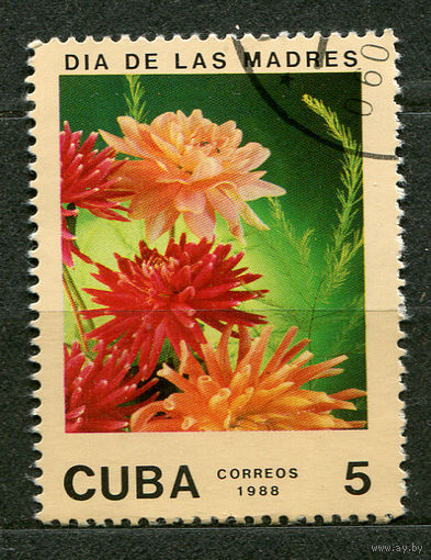 Цветы. Георгины. Куба. 1988