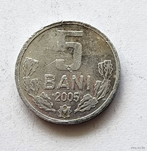 Молдова 5 бань 2005
