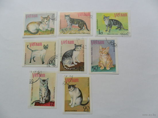 Вьетнам, кошки 8 марок