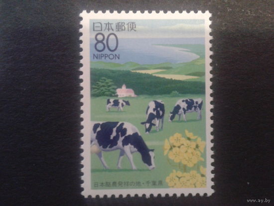 Япония 1995 стадо коров