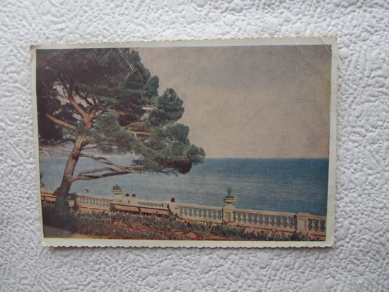 Почтовая карточка Ялта.Вид на море,фотоГоланд,1954,чистая-No46