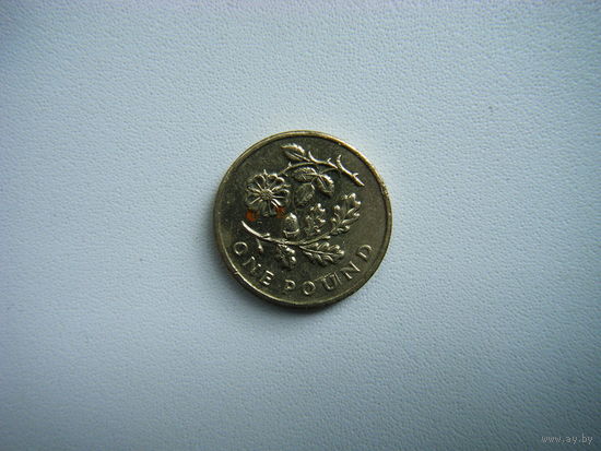 Британия 1 фунт 2013г.