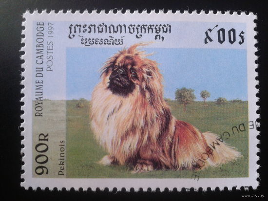 Камбоджа 1997 Собака