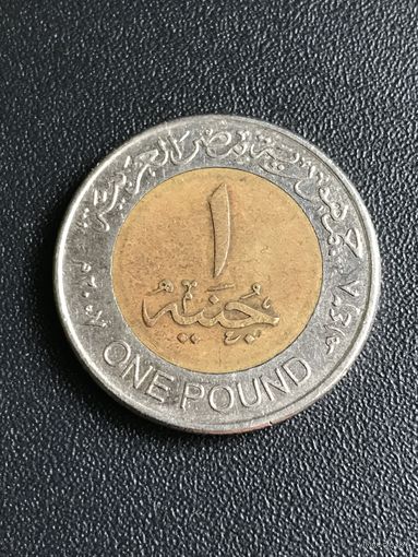 1 фунт Египет