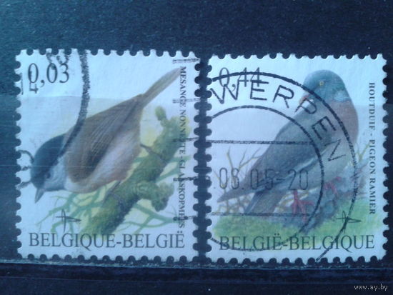 Бельгия 2005 Стандарт, птицы