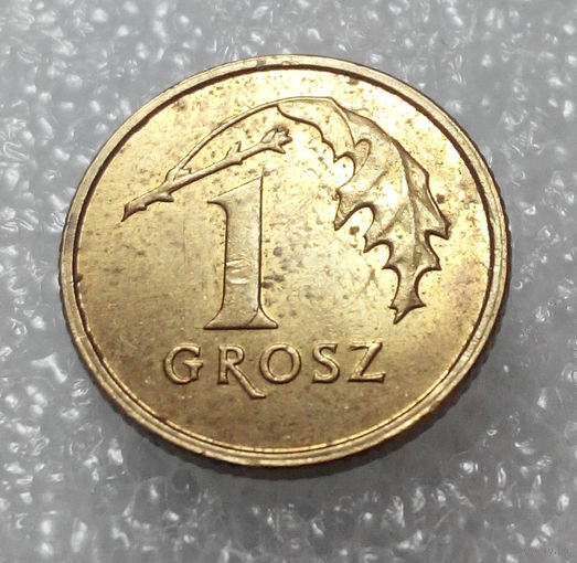 1 грош 2013 Польша #01