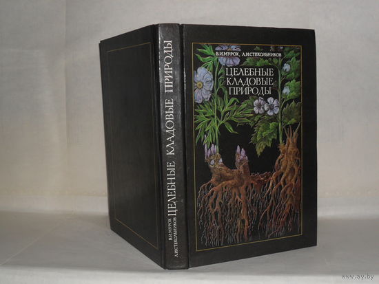 Мурох В.И., Стекольников Л.И. Целебные кладовые природы.