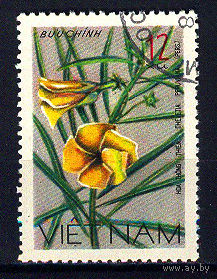 1977 Вьетнам. Теветия перуанская