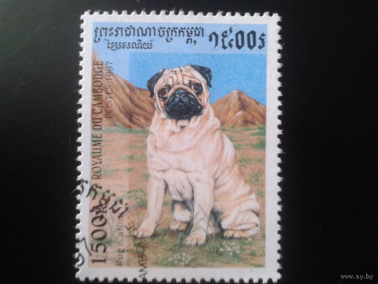Камбоджа 1997 Собака