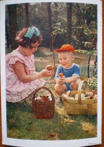 Становова А., грибники 1957, чистая.