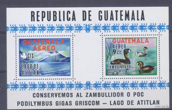 [1255] Гватемала 1970. Охрана природы.Фауна.Птицы.Утки. БЛОК MNH. Кат.19 е.