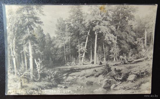 Почтовая карточка "Сосновый бор", 1912 г.