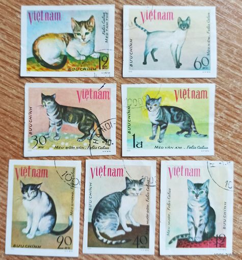Вьетнам. Коты, 7 марок