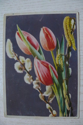 Цветы (тюльпаны, верба); подписана, изд. Берлин.
