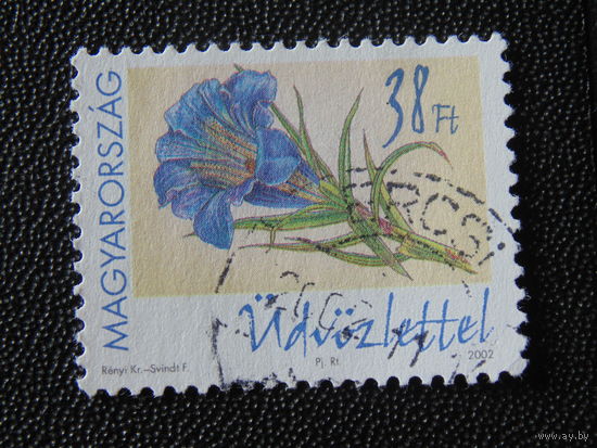 Венгрия 2002 г. Цветы.