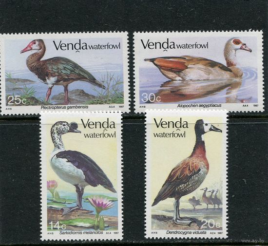 ЮАР Венда. Водоплавающие птицы