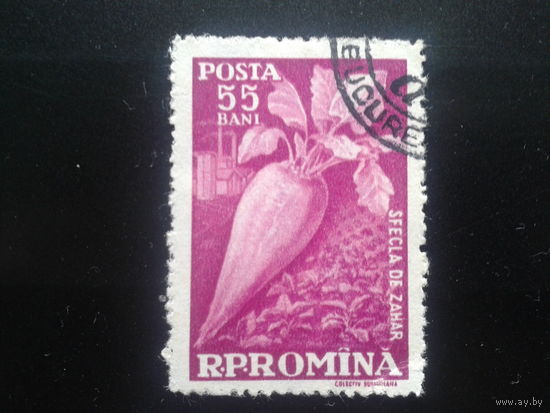 Румыния 1959 сахарная свекла