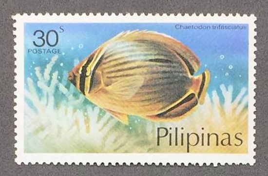 Филиппины 1987г Рыбы