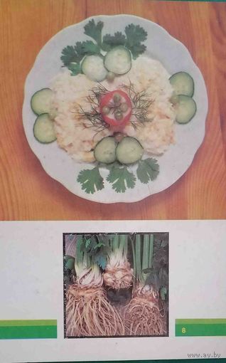 Овощи Салат из сельдерея с майонезом Салат из зелени сельдерея с ореховым соусом