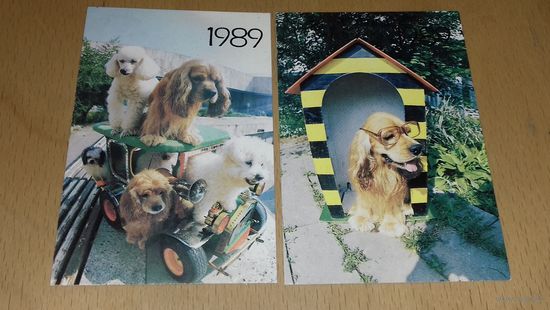 Календарики 1989 Собаки. Юмор. 2 шт. одним лотом