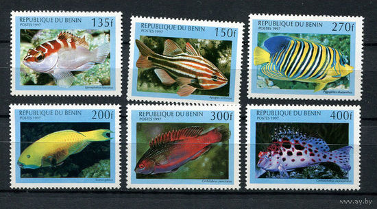 Бенин - 1997 - Рыбки - [Mi. 978-983] - полная серия - 6 марок. MNH.