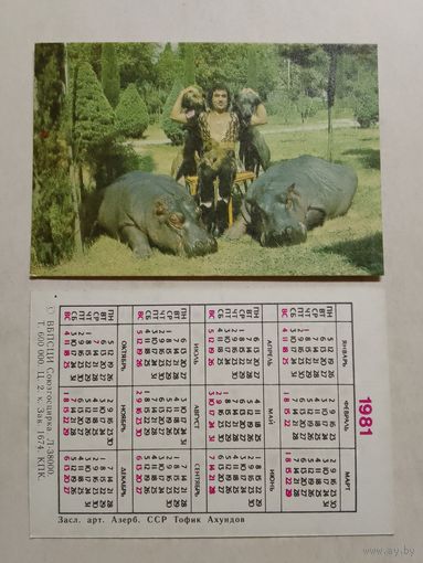 Карманный календарик. Цирк. Тофик Ахундов. Бегемоты. 1981 год