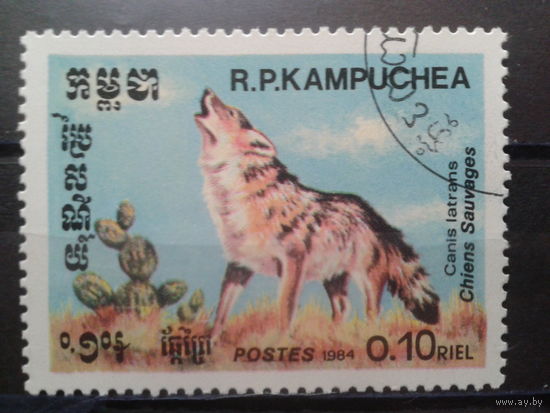 Камбоджа 1984 Волк