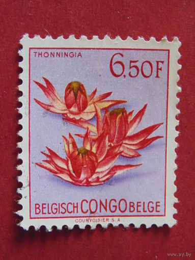 Бельгийское Конго 1952 г. Флора.