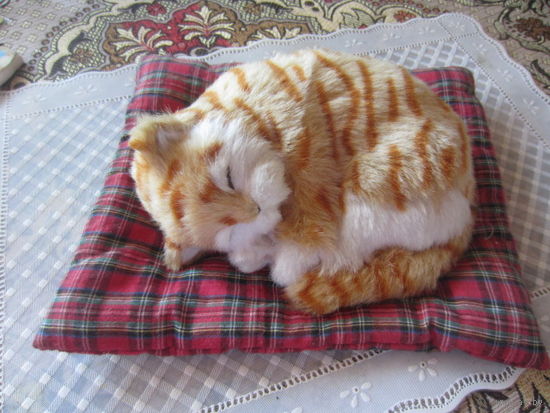 Кот на подушке для интерьера