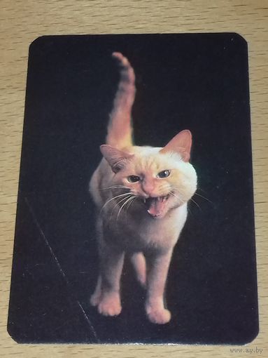 Календарик 1993 Кошки. Коты. Злой кот