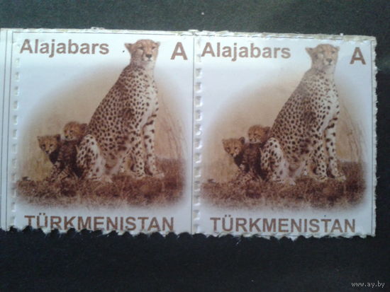 Туркменистан 2007 гепард, пара