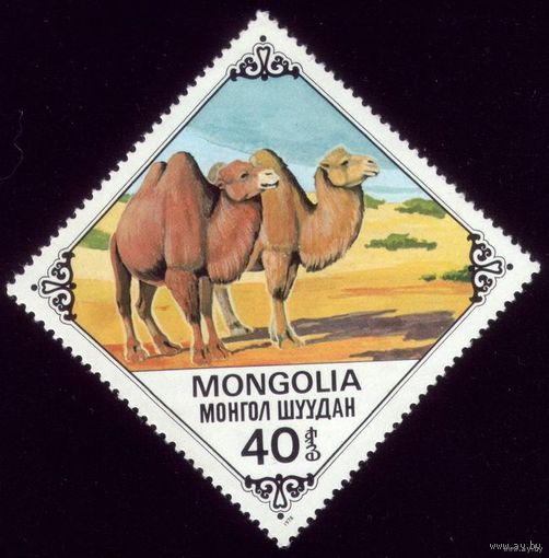 1 марка 1978 год Монголия Корабль пустыни