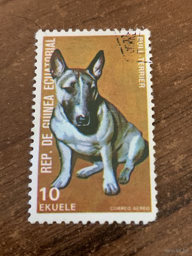 Экваториальная Гвинея 1974. Породы собак. Буль-терьер. Марка из серии