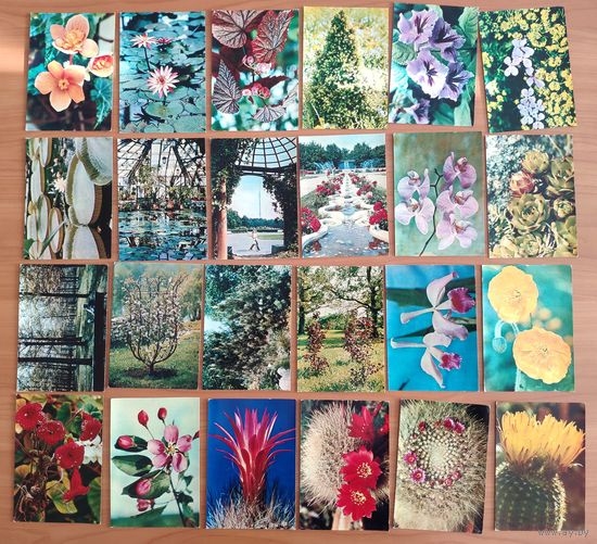 24 открытки из набора Экскурсия в природу. Главный ботанический сад АН СССР 1973 г