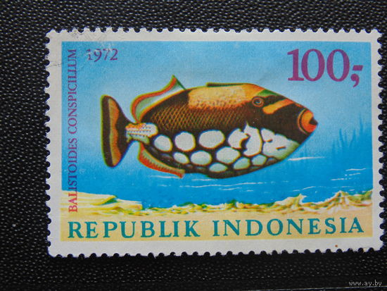 Индонезия 1972 г. Морская фауна.